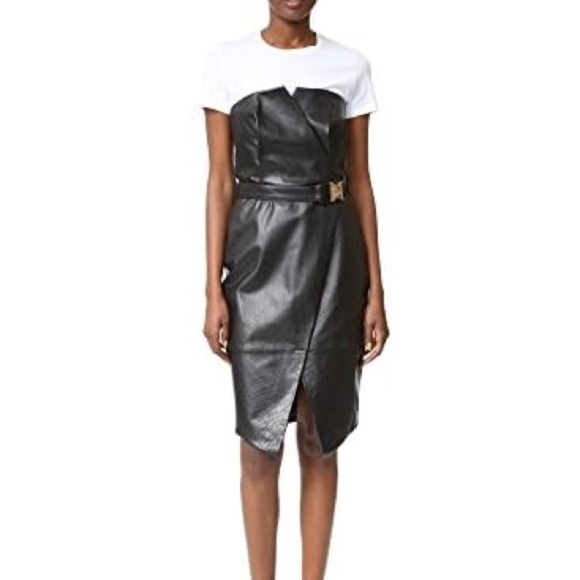 EUC Camilla and Marc Paneled Leather Dress - Picture 13 of 13